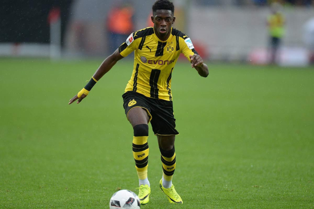 博格丹的补 博格丹的补